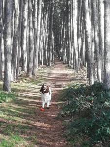 WhatsApp Image 2020-03-23 at 09.00.37